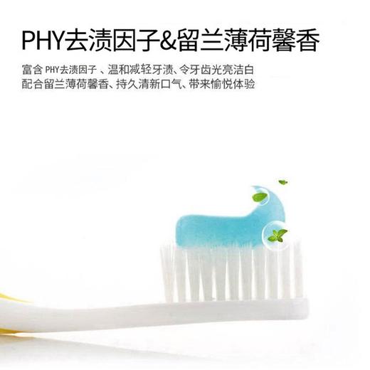 冷酸灵去渍亮白牙膏 170g/支 商品图1