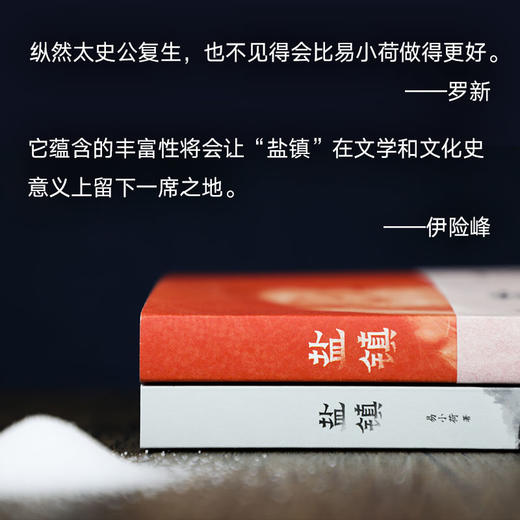 易小荷：盐镇 商品图2