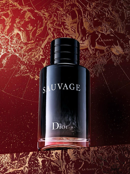 DIOR迪奥旷野男士淡香水60ml 商品图2