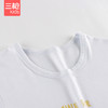 Threegun三枪 【莫代尔】男童圆领儿童长袖长裤内衣套装-29471D011 商品缩略图6