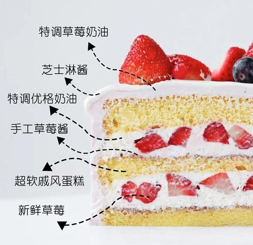 【会员特惠165.44元】草莓优格蛋糕 商品图3