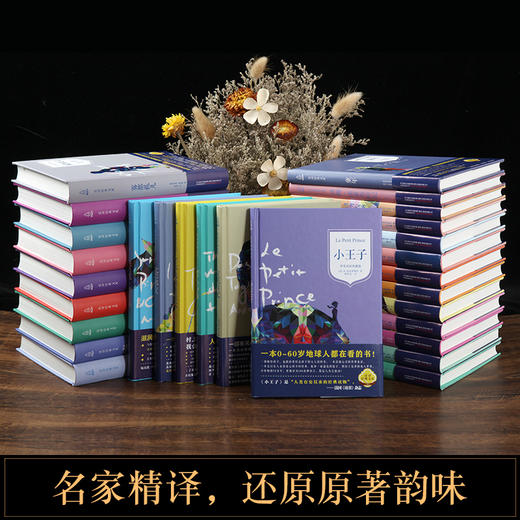 【青葫芦】【汉译经典文库-精装】小王子书老人与海/假如给我三天光明/童年/安徒生童话/巴黎圣母院/昆虫记/呼啸山庄 小学生课外阅读书籍名著 商品图0
