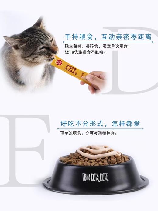 顽皮噜吸吸猫条14g*5支/包*20包 商品图1