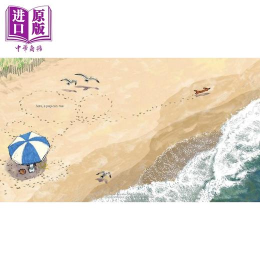 【中商原版】Doug Salati:Hot Dog 凯迪克2023金奖 热狗 儿童文学奖获奖童书 不知所措的小狗 儿童绘本 英文原版 进口图书 商品图3