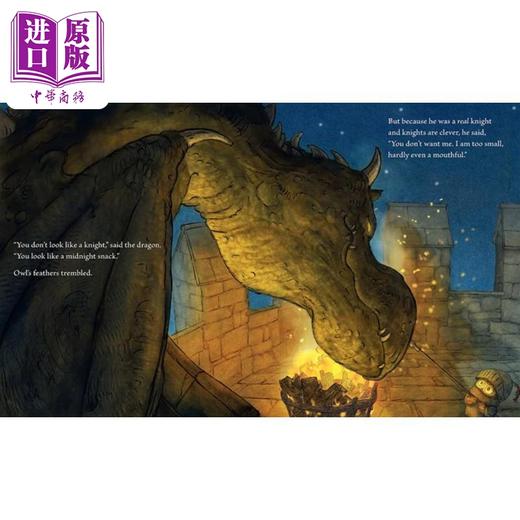 【中商原版】Christopher Denise Knight Owl 凯迪克2023银奖 小骑士猫头鹰 儿童获奖童书 儿童绘本 英文原版 进口图书 商品图4
