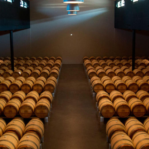 宝马知己红葡萄酒2009年(6L) Alter Ego de Palmer, Margaux 2009 商品图2