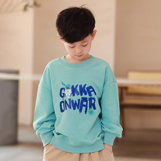 【清仓】卫衣合集龙之涵春秋卫衣卫裤合集 全棉中大童时尚洋气爆款热卖 商品图9