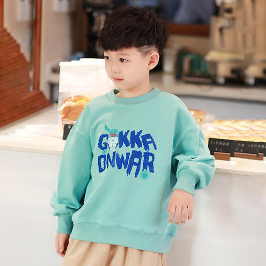 【清仓】卫衣合集龙之涵春秋卫衣卫裤合集 全棉中大童时尚洋气爆款热卖 商品图7