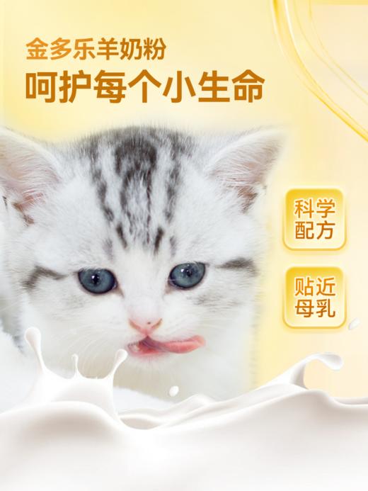 宠物羊奶粉（谷登/麦富迪） 商品图2