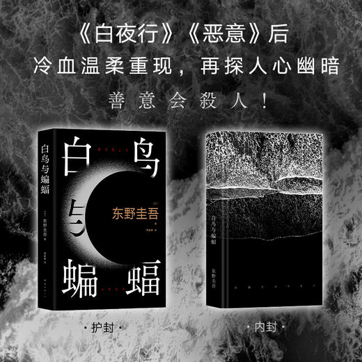 白鸟与蝙蝠（东野圭吾出道35周年荣耀新作，10年来蕞好看！） 商品图1