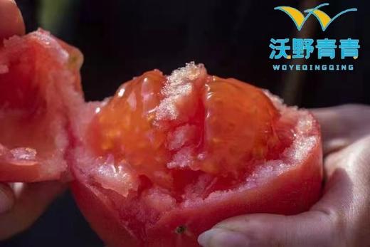 老品种西红柿&水果西红柿 商品图0