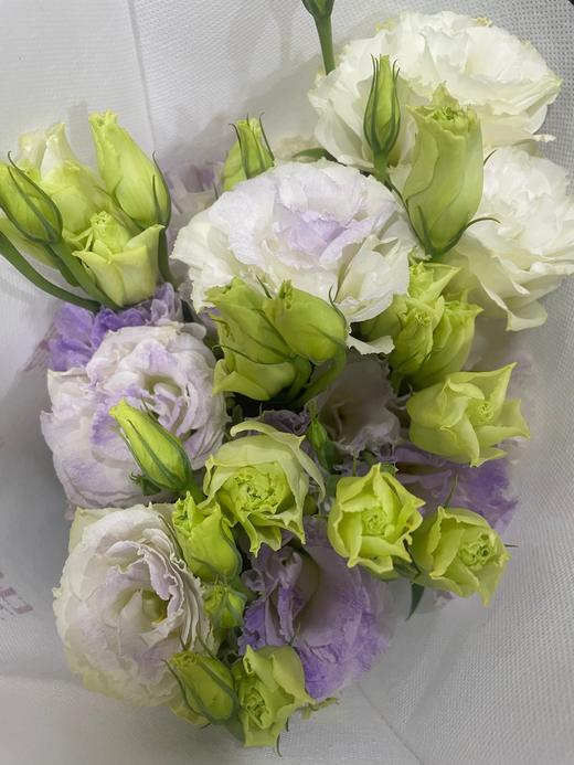 【洋桔梗】--烟灰紫  若干枝/扎 商品图5