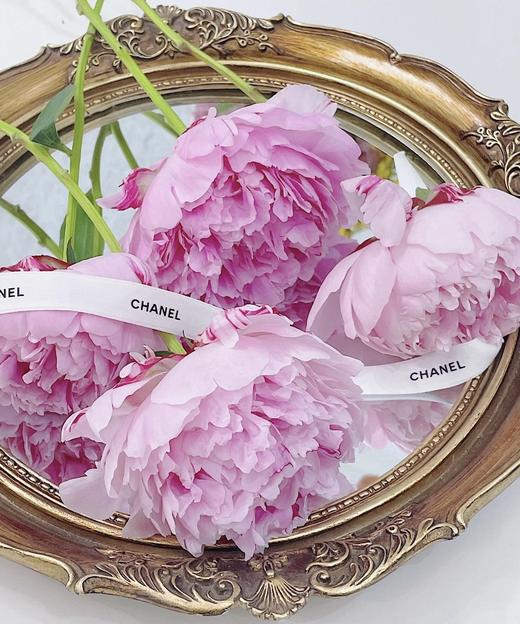 【经典版】芍药 -莎拉 粉色  5枝/扎 商品图1