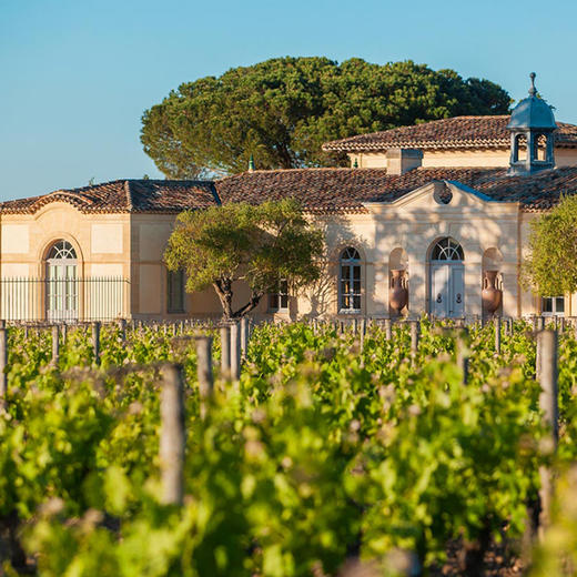 帕图斯干红葡萄酒 2016（1.5L） 商品图1