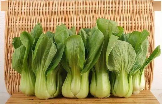 瓢儿白 500g 商品图1