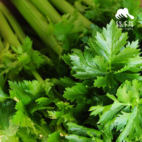 生态西芹/芹菜（包邮）| 绿家自产*Eco-celery group purchase | Self-production