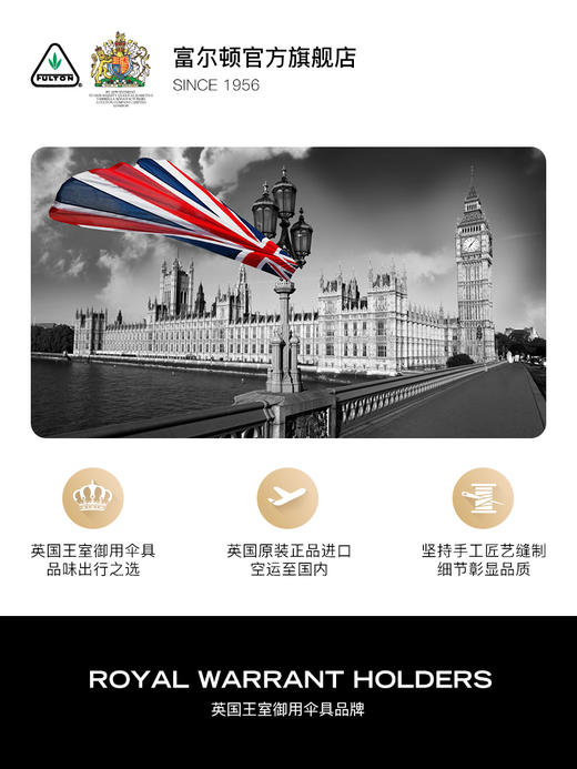 FULTON 超大扛风 双层自动伞 Tornado 商品图4