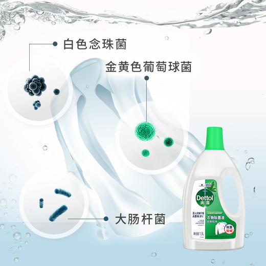 【滴露】衣物除菌液 2.5L送1L 洗衣专用 清香舒缓 商品图1