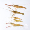 生态小草虾 （小河虾）| 绿家自产Eco-Small river shrimp  |  Self-production 商品缩略图2