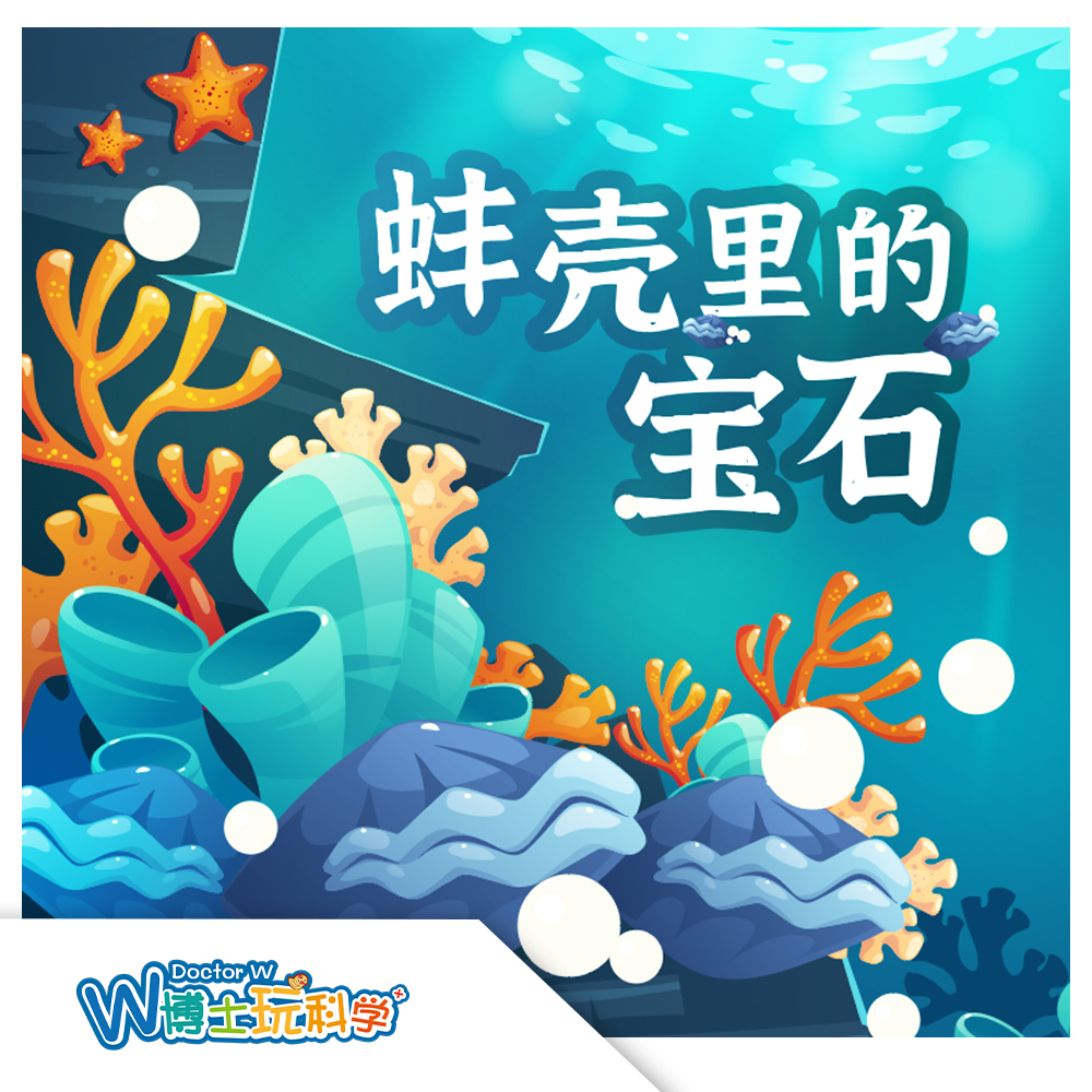 【北京】蚌壳里的宝石（动物博物馆）