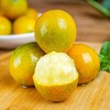 小金桔 500g/份 商品缩略图1