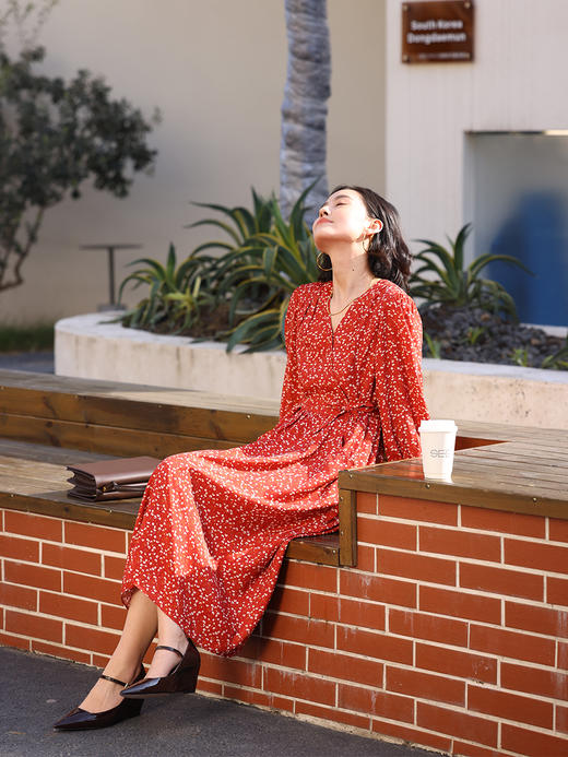 HeyDress法式印花连衣裙女春季复古V领收腰显瘦温柔气质长袖裙子 商品图0