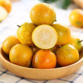 小金桔 500g/份