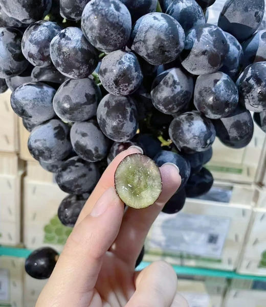 神秘梦境黑提🍇酥脆多汁、纯甜无酸 商品图6