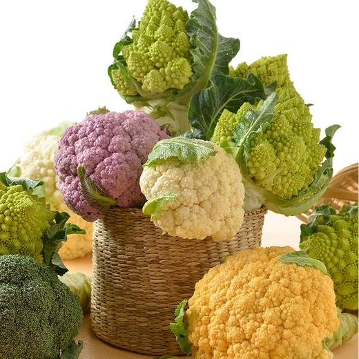 放心紫花菜 约550g/份 商品图4