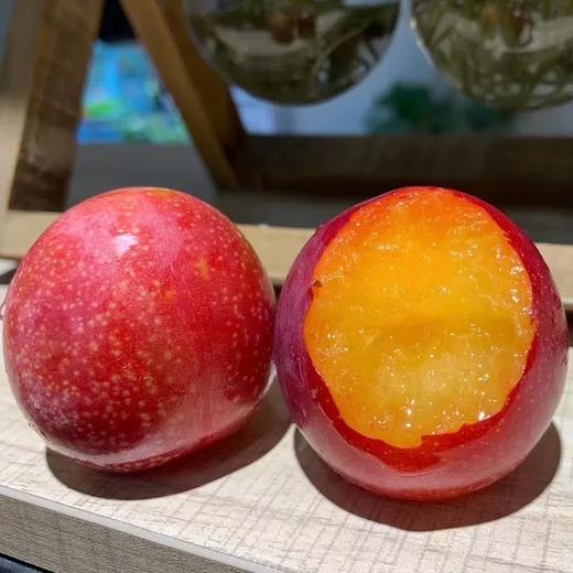 进口樱桃李  约500g/份 商品图0