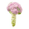 放心紫花菜 约550g/份 商品缩略图1
