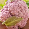 放心紫花菜 约550g/份 商品缩略图3