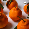 生态耙耙柑（四川丹棱） | 合作生产 *Eco-Danling harrow orange | Partner Production 商品缩略图2