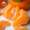生态耙耙柑（四川丹棱） | 合作生产 *Eco-Danling harrow orange | Partner Production 商品缩略图1