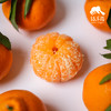 生态耙耙柑（四川丹棱） | 合作生产 *Eco-Danling harrow orange | Partner Production 商品缩略图3