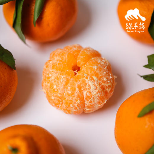 生态耙耙柑（四川丹棱） | 合作生产 *Eco-Danling harrow orange | Partner Production 商品图3