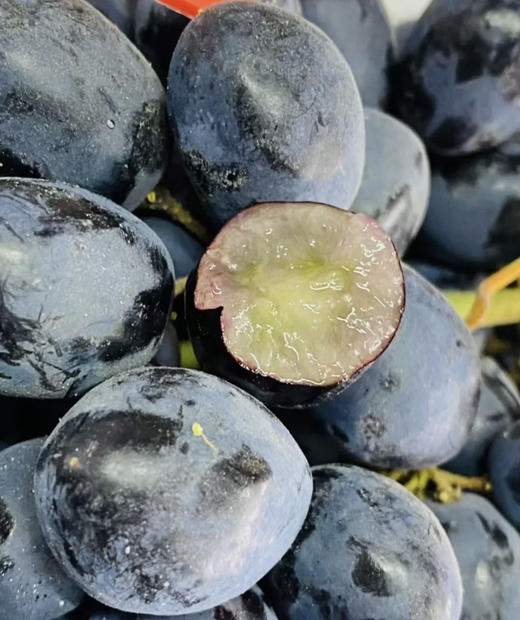 神秘梦境黑提🍇酥脆多汁、纯甜无酸 商品图4