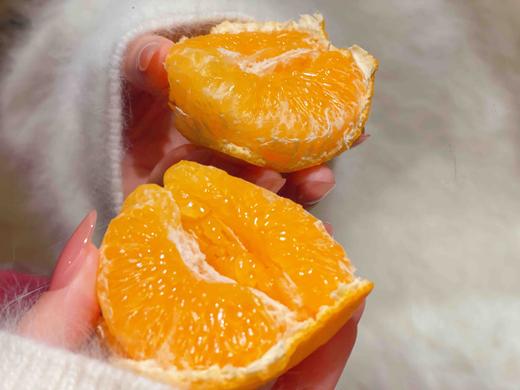 晓橘春见耙耙柑🍊味道浓郁 商品图6
