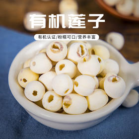 有机莲子  湖水供养自然生长 无需浸泡 清香甜润  易煮香糯