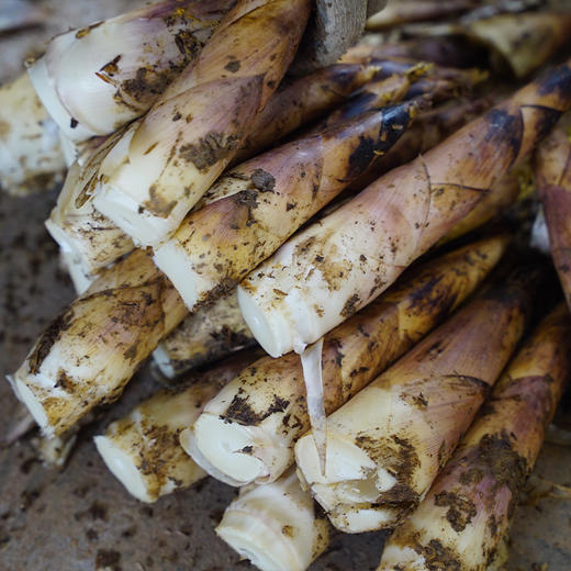 舌尖上的临安天目山春笋现挖现采质嫩无渣时令鲜笋 商品图3