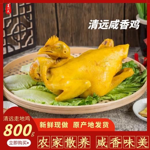 中宿农一代咸香鸡 800g 撕开即食 商品图0