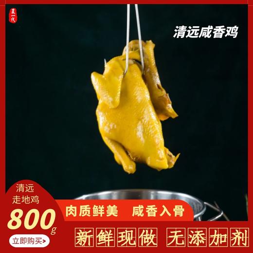 中宿农一代咸香鸡 800g 撕开即食 商品图2