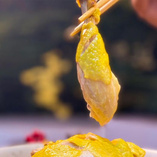 中宿农一代咸香鸡 800g 撕开即食 商品图4