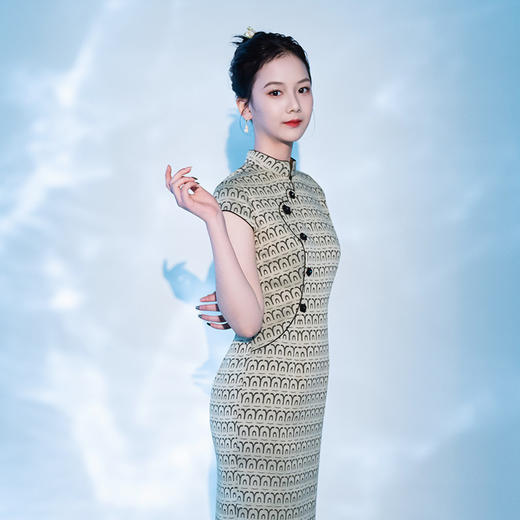 荷言GL旧时闺秀原创 帘幕重重 古文提花肌理人丝琵琶襟改良旗袍裙 商品图2