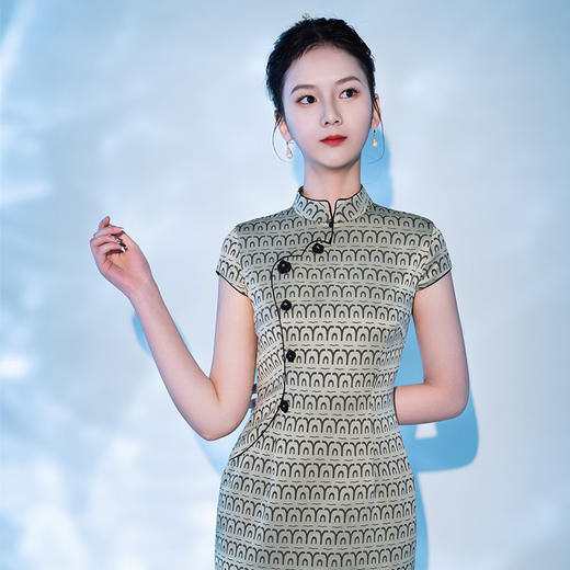 荷言GL旧时闺秀原创 帘幕重重 古文提花肌理人丝琵琶襟改良旗袍裙 商品图1