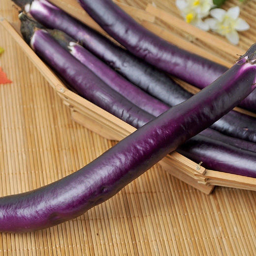 有机长茄 500g 商品图5