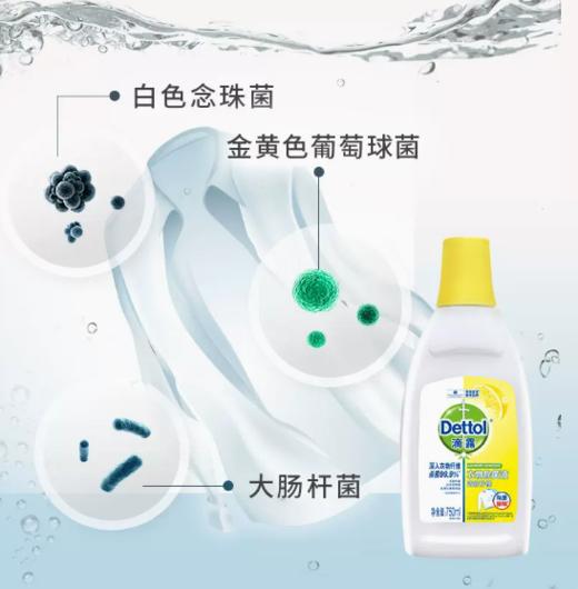 750ml 滴露衣服除菌液（柠檬） 商品图2