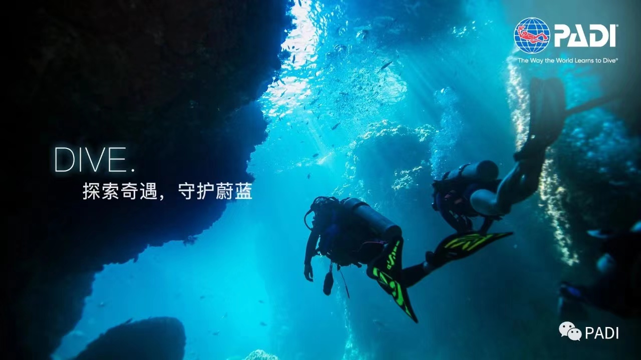 PADI 潜水课程报名！