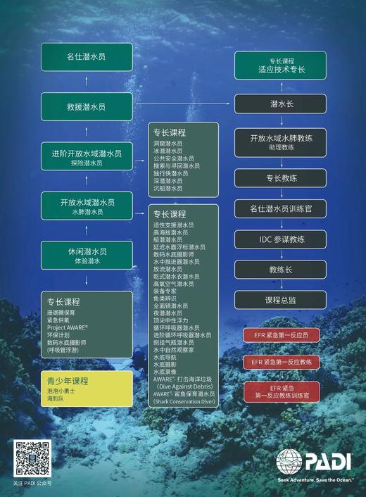 PADI 潜水课程报名！ 商品图3