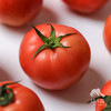 生态西红柿/番茄（沙瓤，丰收优惠满80-5元） | 绿家自产*Eco-tomato | In-House Production 商品缩略图2